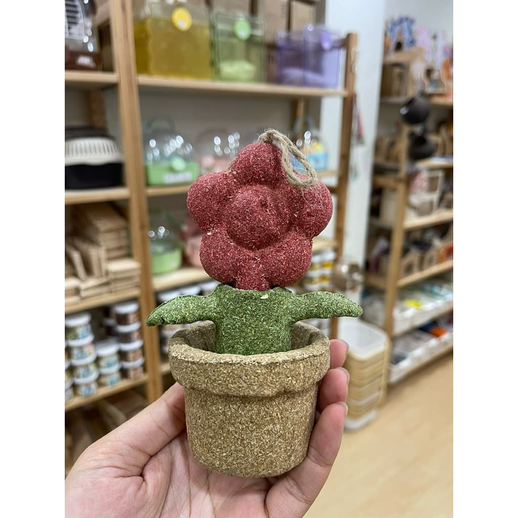 แทะ ลับฟัน ของตกแต่งกรงลับฟันได้รวมหลายยี่ห้อ carno rodizoo ป่าสน ต้นสน ลูกโอ๊ค ดอกไม้ น้ำพุ กระบองเพชร ลูกประคำ รูปที่ 5