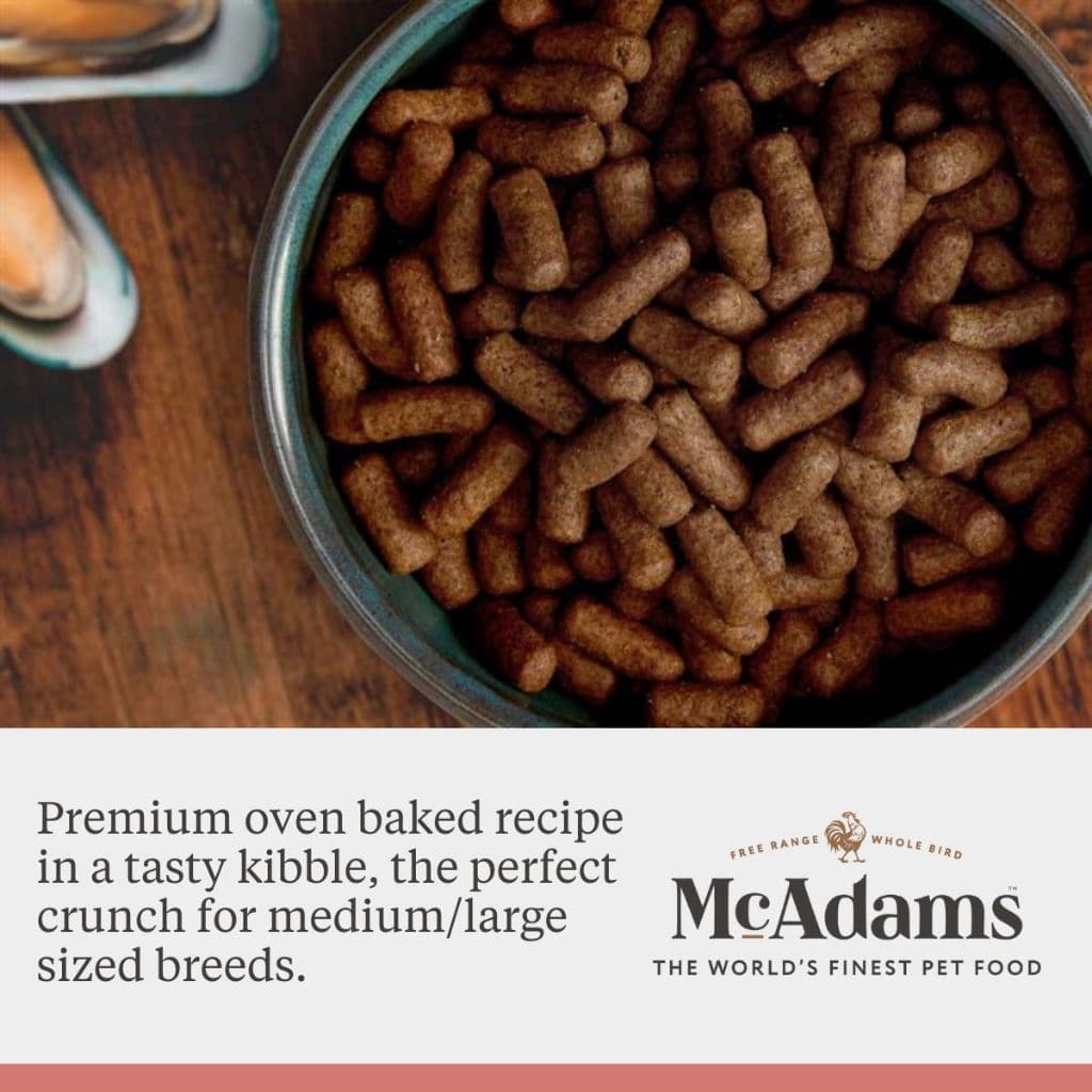 McAdams Medium/Large Breeds Chicken&Salmon 2 kg แมคอดัมส์ไก่และแซลมอน สำหรับสุนัขสายพันธุ์กลาง BBD28.07.2026 รูปที่ 2