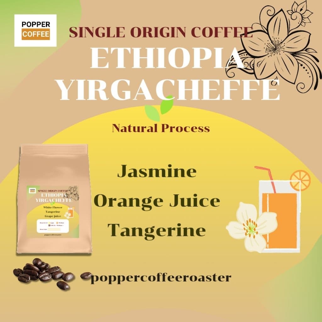 เมล็ดกาแฟคั่ว Ethiopia Yirgacheffe Single origin by Popper Coffee 200 กรัม รูปที่ 1