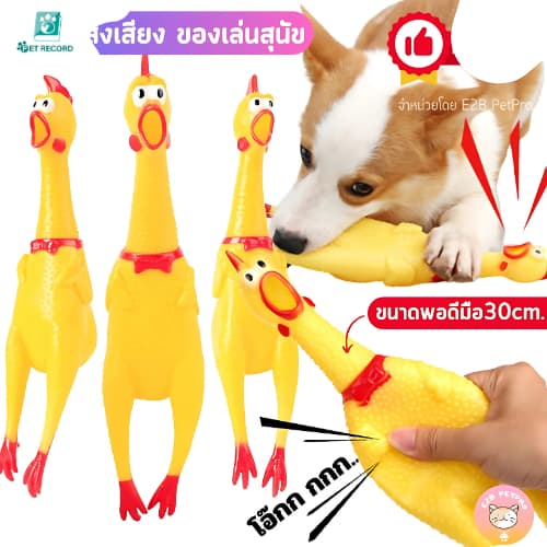 Pet Record ไก่โอ๊กร้องดัง ตุ๊กตาไก่ ของเล่นมีเสียง ของเล่นยางกัด รูปที่ 1