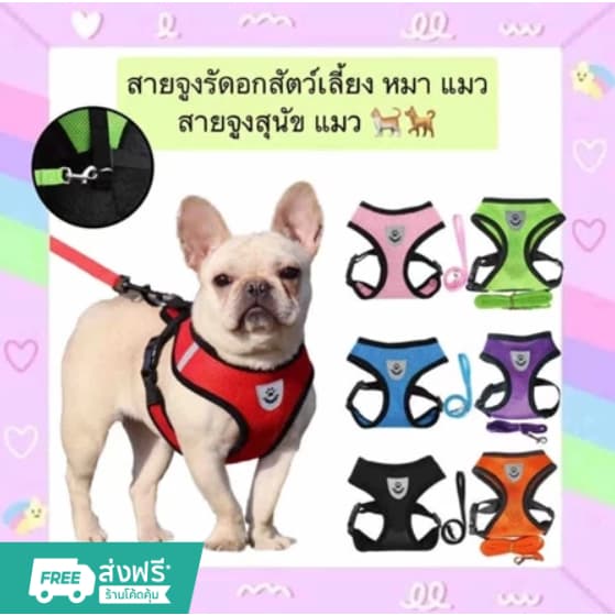 🔥พร้อมส่งในไทย✨จูงหมา สําหรับสัตว์เลี้ยง สุนัข แมว กระต่าย ขนาดเล็ก เสื้อจูงแมว ผ้าตาข่าย พร้อมสายจูง บสัตว์เลี้ยง
