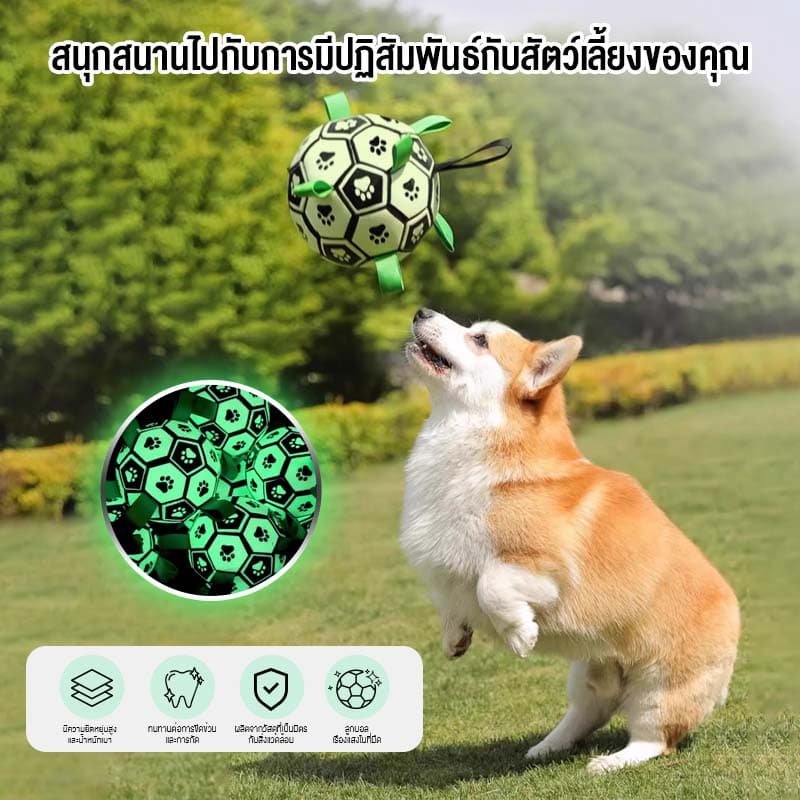 MOMOVIDA ลูกบอลสุนัข ของเล่นสำหรับออกกำลังกายและฝึกสุนัข ของเล่นสุนัขแก้เหงา ช่วยขัดฟัน ลูกบอลเรืองแสง รุ่น DT-8/DT-8L รูปที่ 3