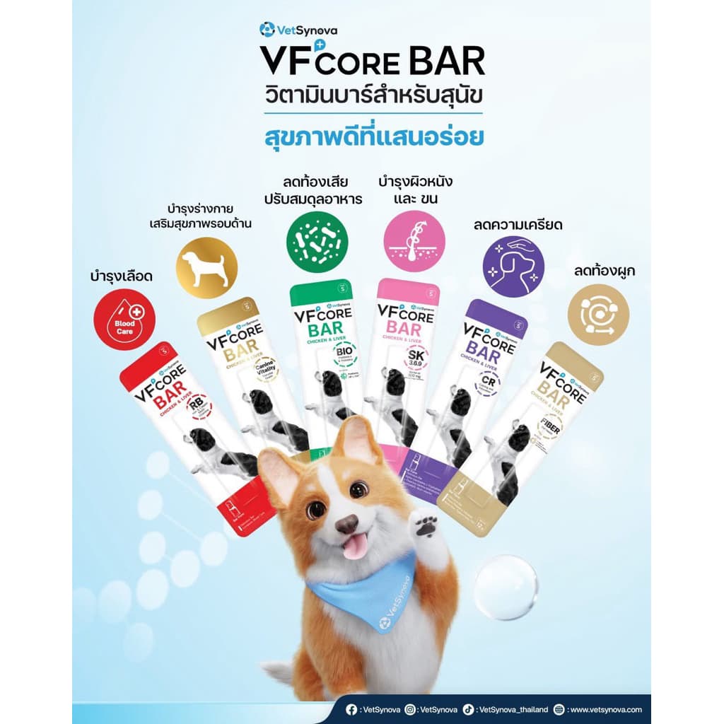 VF+Core Bar for Dogs บาร์แท่งนิ่มบำรุงสุขภาพแสนอร่อยสำหรับสุนัขบรรจุ 12g รูปที่ 9