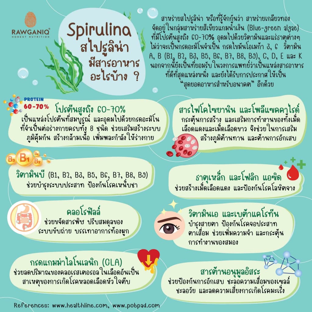 ผงสาหร่ายสไปรูลิน่า สาหร่ายเกลียวทองออร์แกนิค มีผลแลป Organic Spirulina Powder รูปที่ 3
