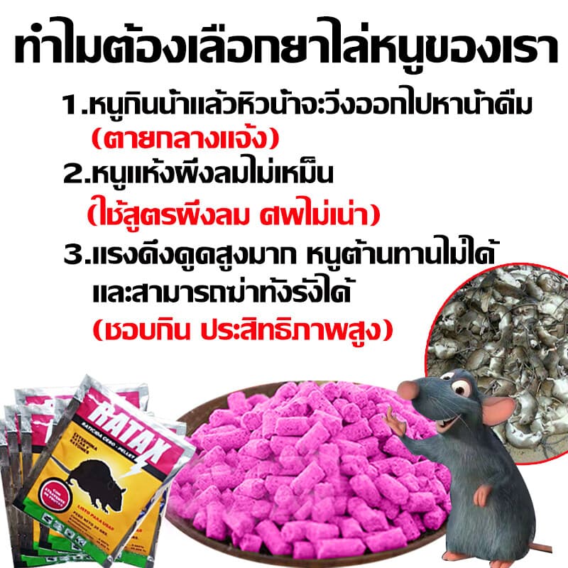 ปลอดหนูตลอดทั้งปียาฆ่าหนู ยากำจัดหนู เหยื่อกำจัดหนู ตายแห้ง ​ไม่เหม็น ใช้งานง่าย รูปที่ 5
