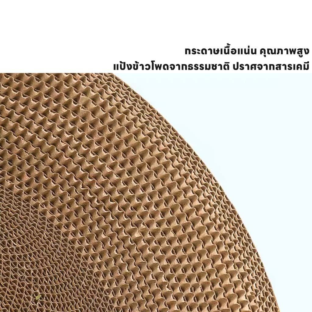 ที่ลับเล็บแมวทรงอ่าง ที่ฝนเล็บ พร้อมแคทนิปในตัว ใช้เป็นที่นอนได้ ของเล่นแมว อ่างลับเล็บแมว ที่ฝนเล็บแมว ที่ขูดเล็บแมว รูปที่ 8