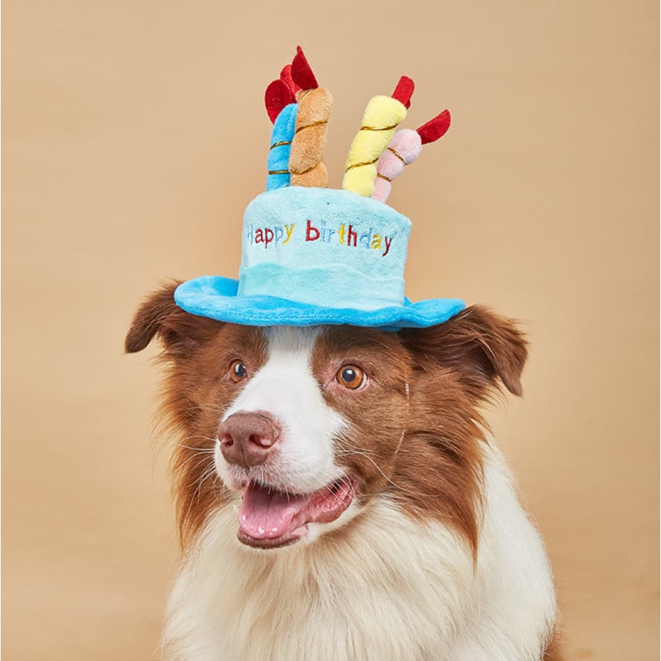 PP-056 หมวกวันเกิดสัตว์เลี้ยง หมวก Happy Birthday สำหรับน้องหมา น้องแมว รูปที่ 1
