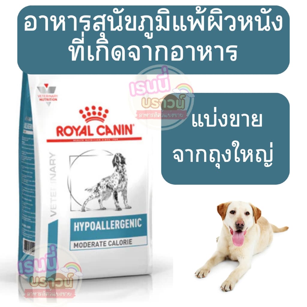 ส่งด่วนมาก ] Royal Canin Hypoallergenic dog อาหารสุนัขที่มีปัญหาแพ้อาหาร รูปที่ 1