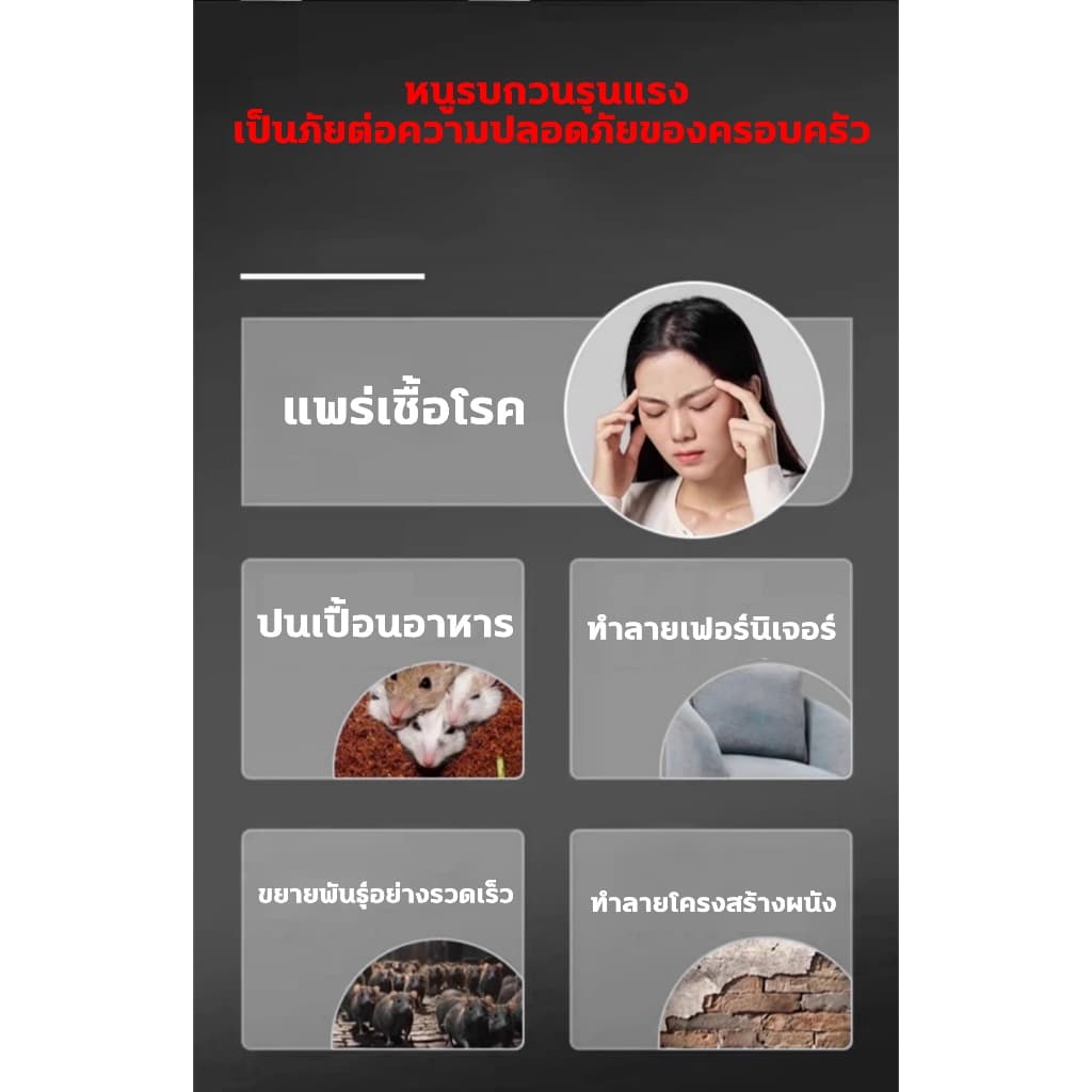 10ปีไม่มีหนู ไล่หนู กําจัดหนู ยาไล่หนู ยากําจัดหนู 1กล่อง150กรัม แค่เพียงวาง ก็ไล่และกำจัดหนูได้ทันที รูปที่ 3