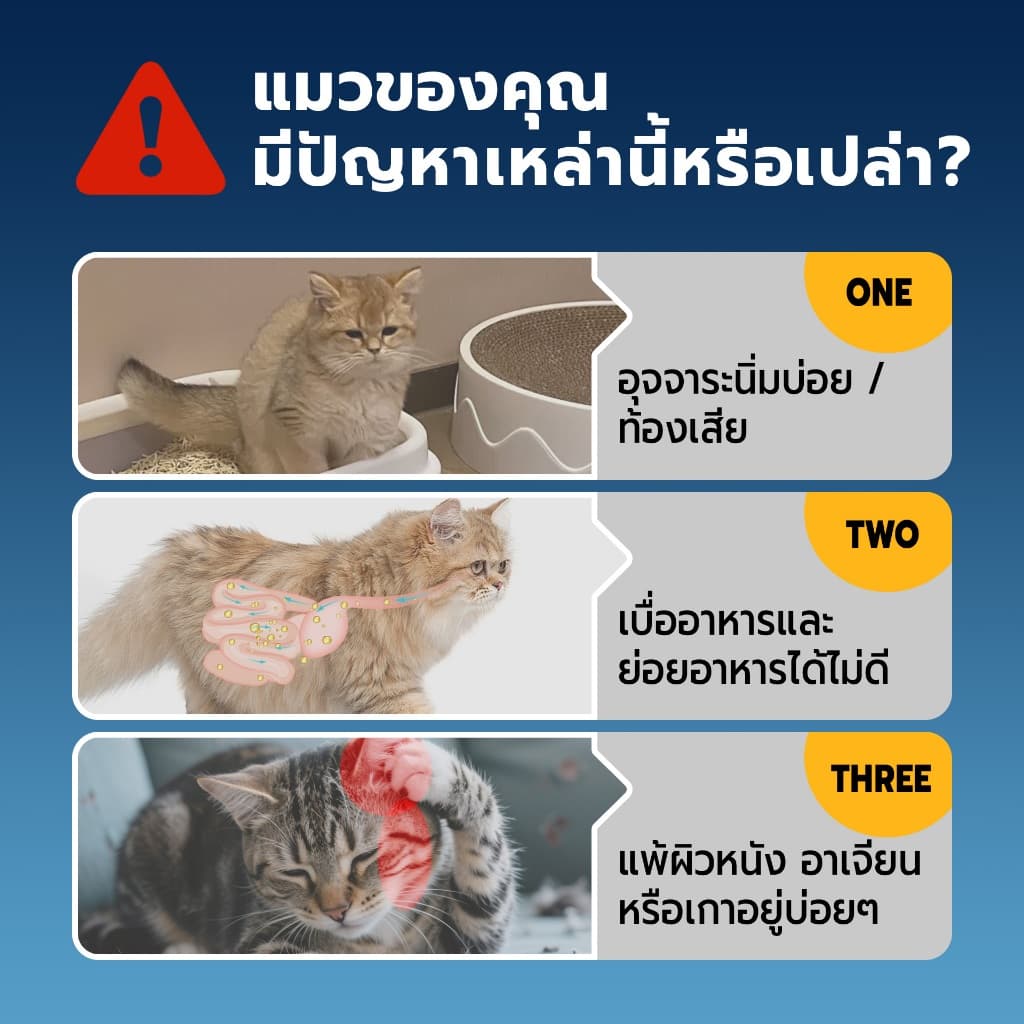 Bite Of Wild FARM อาหารแมวทูน่า ขนาด 3 กก. Grain free โปรตีนสัตว์ 90% เสริมโพรไบโอติกส์ สำหรับแมวกระเพาะอ่อนไหว รูปที่ 2