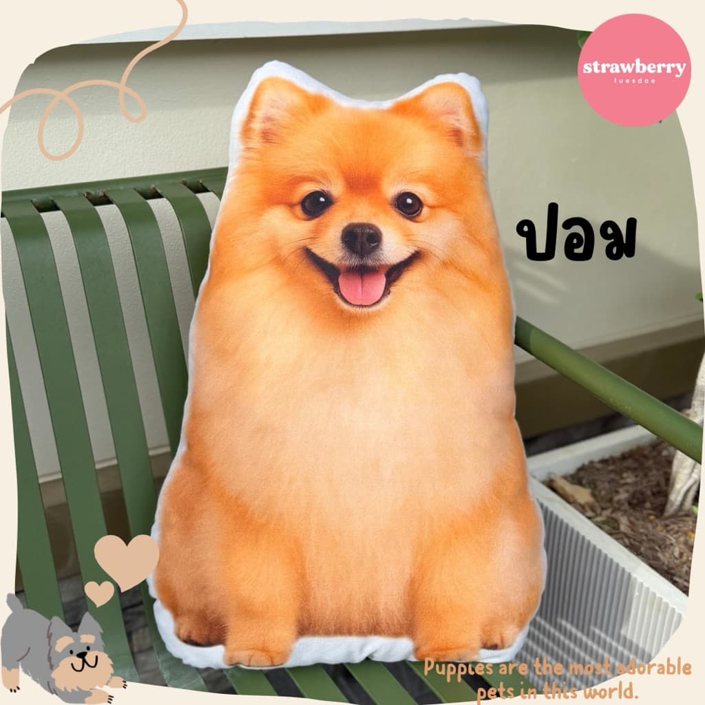 หมอนพิมพ์ลายเจ้าหมา ตุ๊กตาหมา หมอนหมา ขนาด60cm ใบใหญ่ สีสวยคมชัด สต็อคแน่น มีเก็บปลายทาง รูปที่ 4