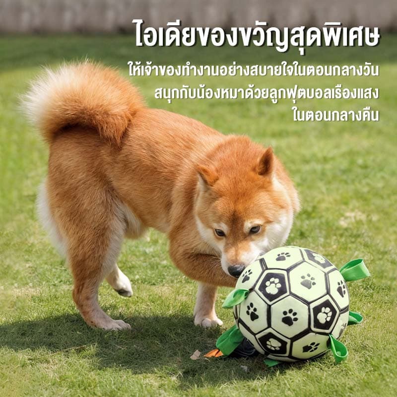 MOMOVIDA ลูกบอลสุนัข ของเล่นสำหรับออกกำลังกายและฝึกสุนัข ของเล่นสุนัขแก้เหงา ช่วยขัดฟัน ลูกบอลเรืองแสง รุ่น DT-8/DT-8L รูปที่ 8