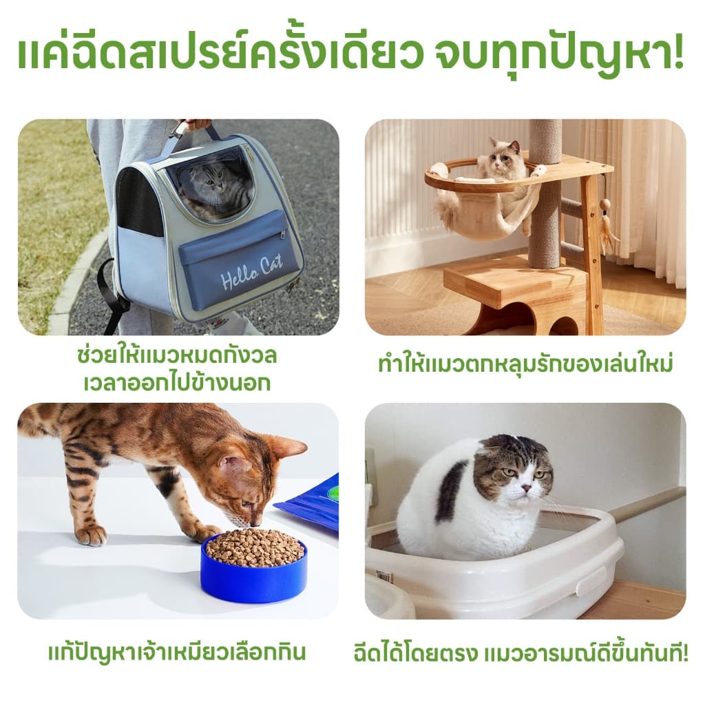 yoyopet : Happy cat spray สเปรย์แมวขี้อ้อน แมวฟิน ขี้เล่น สารสกัดธรรมชาติ ปลอดภัย รูปที่ 4