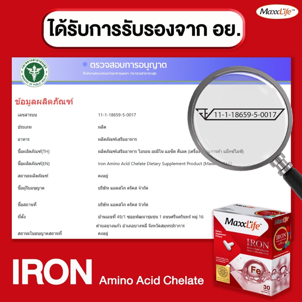 MaxxLife Iron ธาตุเหล็ก Ferrous Bisglycinate Chelate 15 mg ดูแลร่างกาย อ่อนเพลีย ดูดซึมดี 30 แคปซูล รูปที่ 7