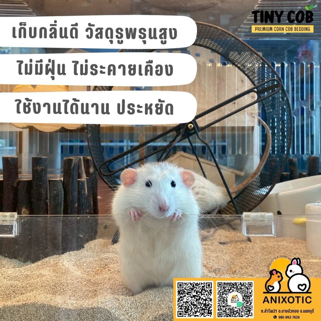 Chef Winston ซังข้าวโพด ซังข้าวโพดรองกรง รองพื้นสัตว์เลี้ยง รองกรงสัตว์เลี้ยง รูปที่ 2