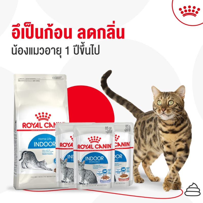 Royal canin อาหารเม็ดแมว โรยัลคานิน ครบทุกสูตร แม่แมว ลูกแมว แมวโต แมวสูงอายุ รูปที่ 3