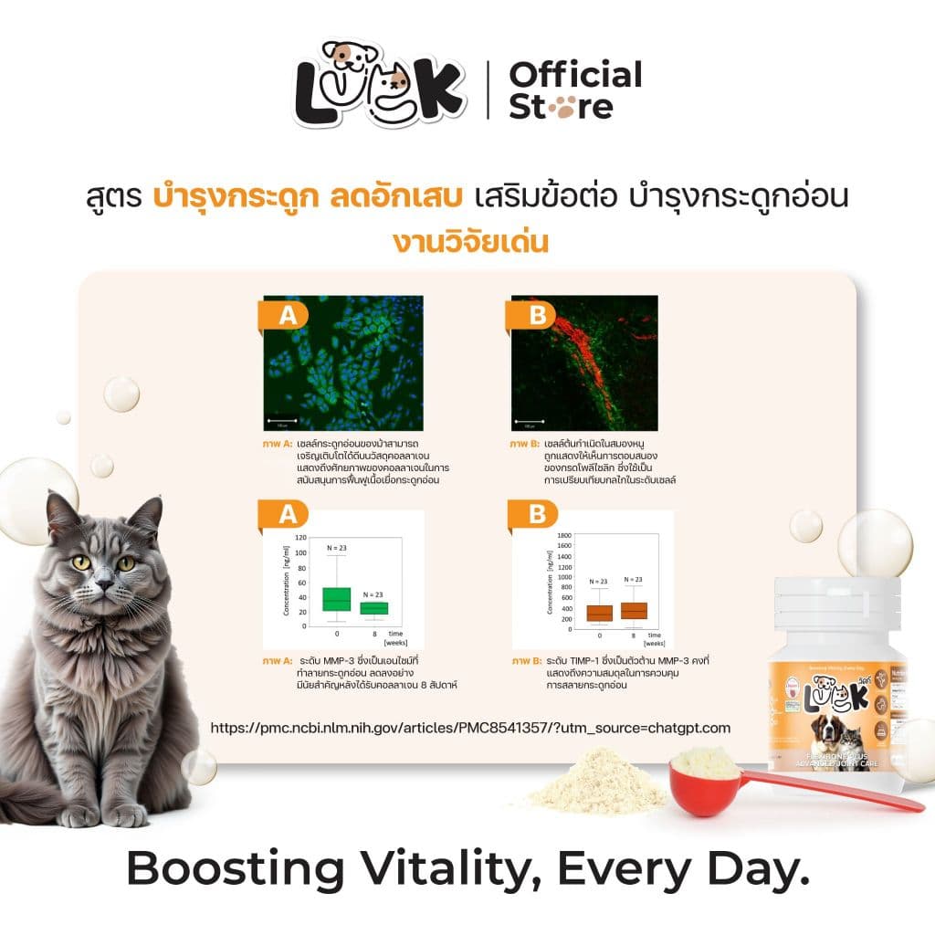 Luck ผงโรยเสริมอาหารสำหรับหมาแมว สุนัข 20 กรัม ช่วยเสริมสร้าง ข้อ กระดูก ข้อต่อ ฟัน ผิวหนัง กระดูกอ่อน รูปที่ 5