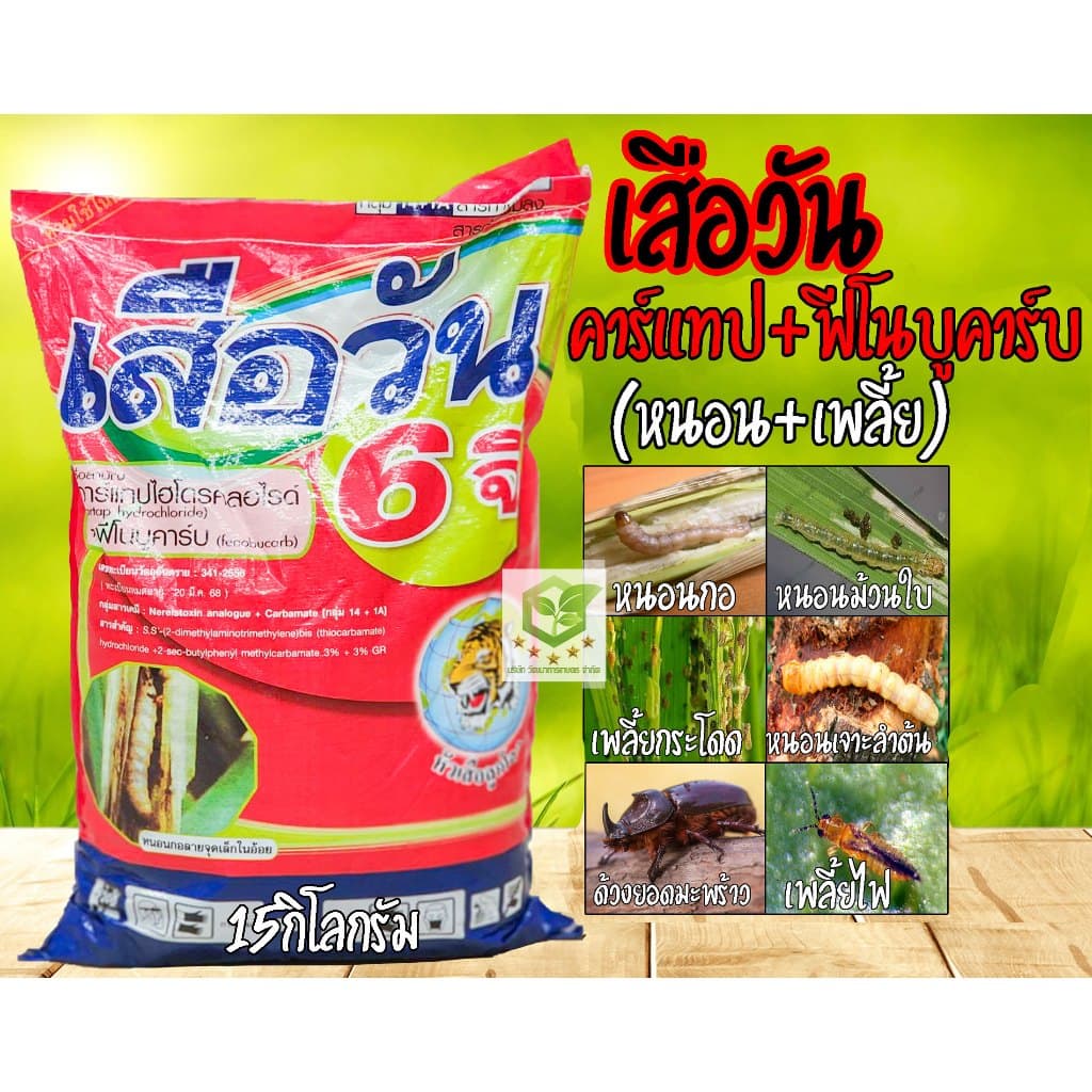 เสือวัน 6จี 6G 15กิโลกรัม สารกำจัดแมลงแบบดูดซึม กำจัดหนอน เพลี้ย แมลง ด้วงมะพร้าว ฟีโนขาบโกลด์ รูปที่ 1