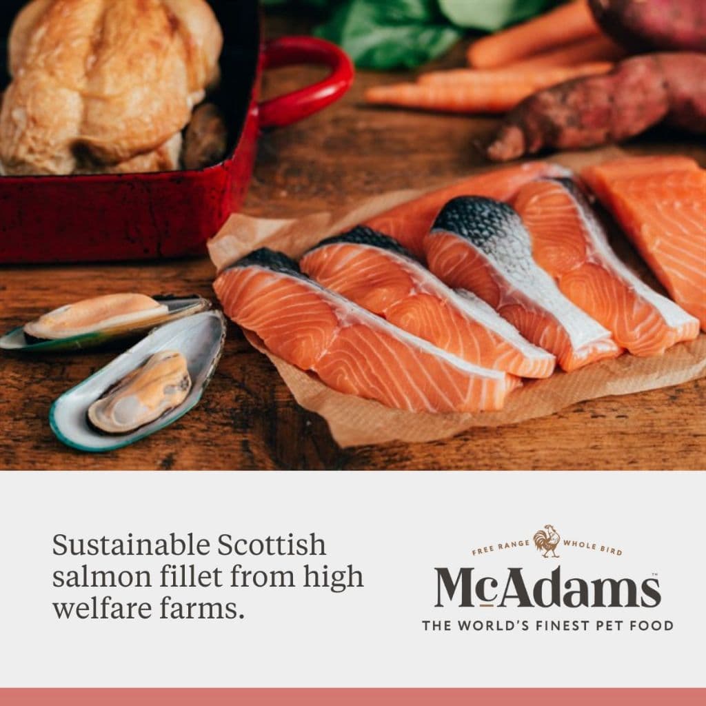 McAdams Medium/Large Breeds Chicken&Salmon 2 kg แมคอดัมส์ไก่และแซลมอน สำหรับสุนัขสายพันธุ์กลาง BBD28.07.2026 รูปที่ 4