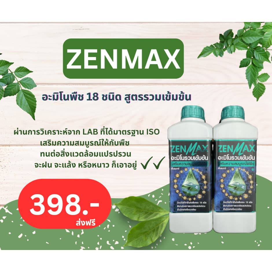 Zenmax อะมิโนพืช สูตรรวมเข้มข้น 18 ชนิด ชุด 1 ลิตร 199 บาท Z1 รูปที่ 2