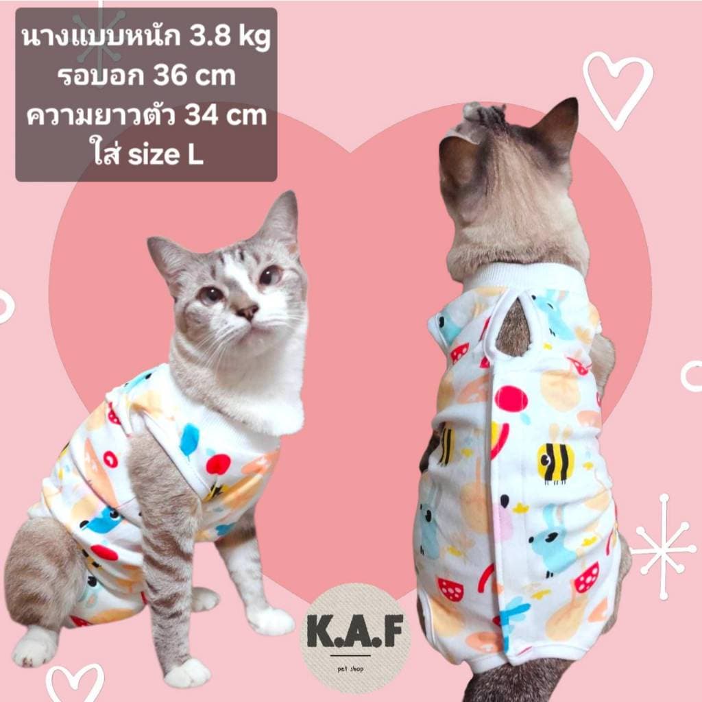 เสื้อทำหมันสัตว์เลี้ยง เสื้อแต่ละลายขนาดไม่เท่ากัน อ่านsizeก่อนสั่ง! รูปที่ 3