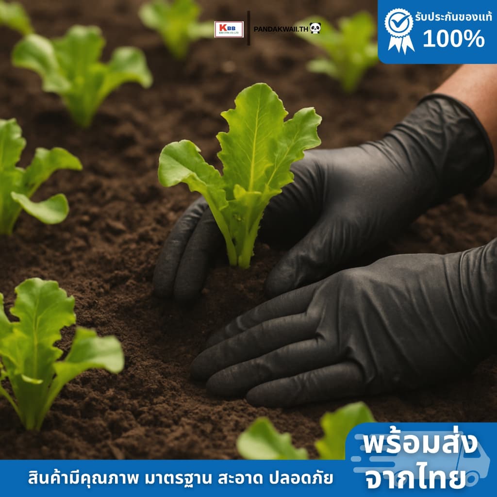 ถุงมืออเนกประสงค์ ถุงมือไนไตรไวนิล สีดำ เหนียว ทนทาน ไม่ขาดง่าย รูปที่ 3