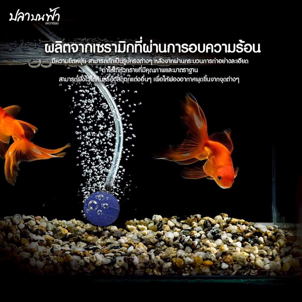 หัวทรายออกซิเจน ชนิดฟองละเอียด สำหรับตู้ปลา และบ่อปลา ช่วยกระจายออกซิเจนได้อย่างดี ใช้ได้กับปลาทุกชนิด รูปที่ 5