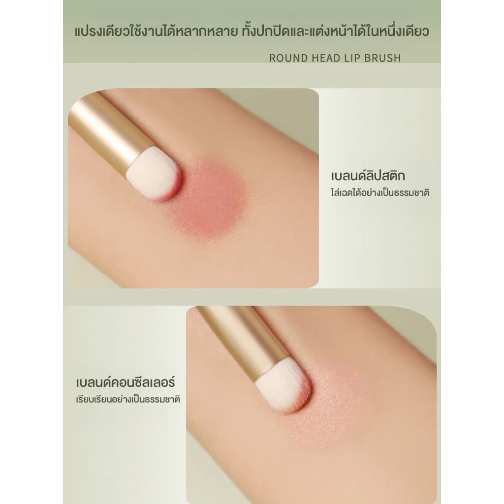 Soft Round Lip Brush แปรงแต่งปากเบลอหัวกลม แปรงแต่งริมฝีปากเบลอ ฟุ้งละมุน 2 ขนาด เล็ก/ใหญ่ ขนแปรงนุ่ม จิกสีดี เกลี่ยง่าย รูปที่ 5