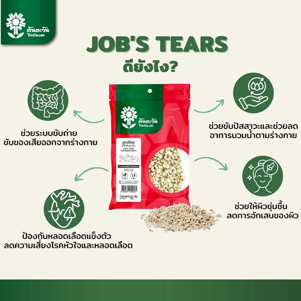 ลูกเดือย 150 กรัม ตรา ต้นตะวัน รูปที่ 4