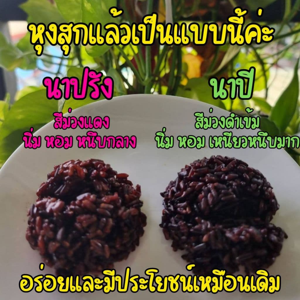 ข้าวสารเพื่อสุขภาพนานาพันธุ์ ไรซ์เบอร์รี่ ข้าวกล้อง ข้าว ข้าวหอม ข้าวซ้อมมือ ขนาด 1 กิโลกรัม รูปที่ 8