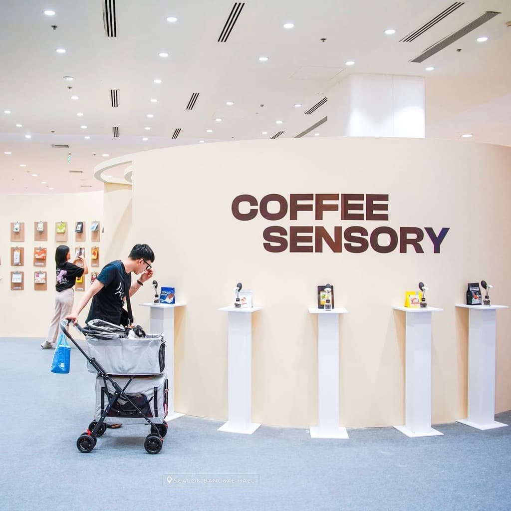 เมล็ดกาแฟคั่ว กลางเข้ม "ขนมเปี๊ยะ" Kanompia Coffee Bean กาแฟขนมเปี๊ยะ รูปที่ 4
