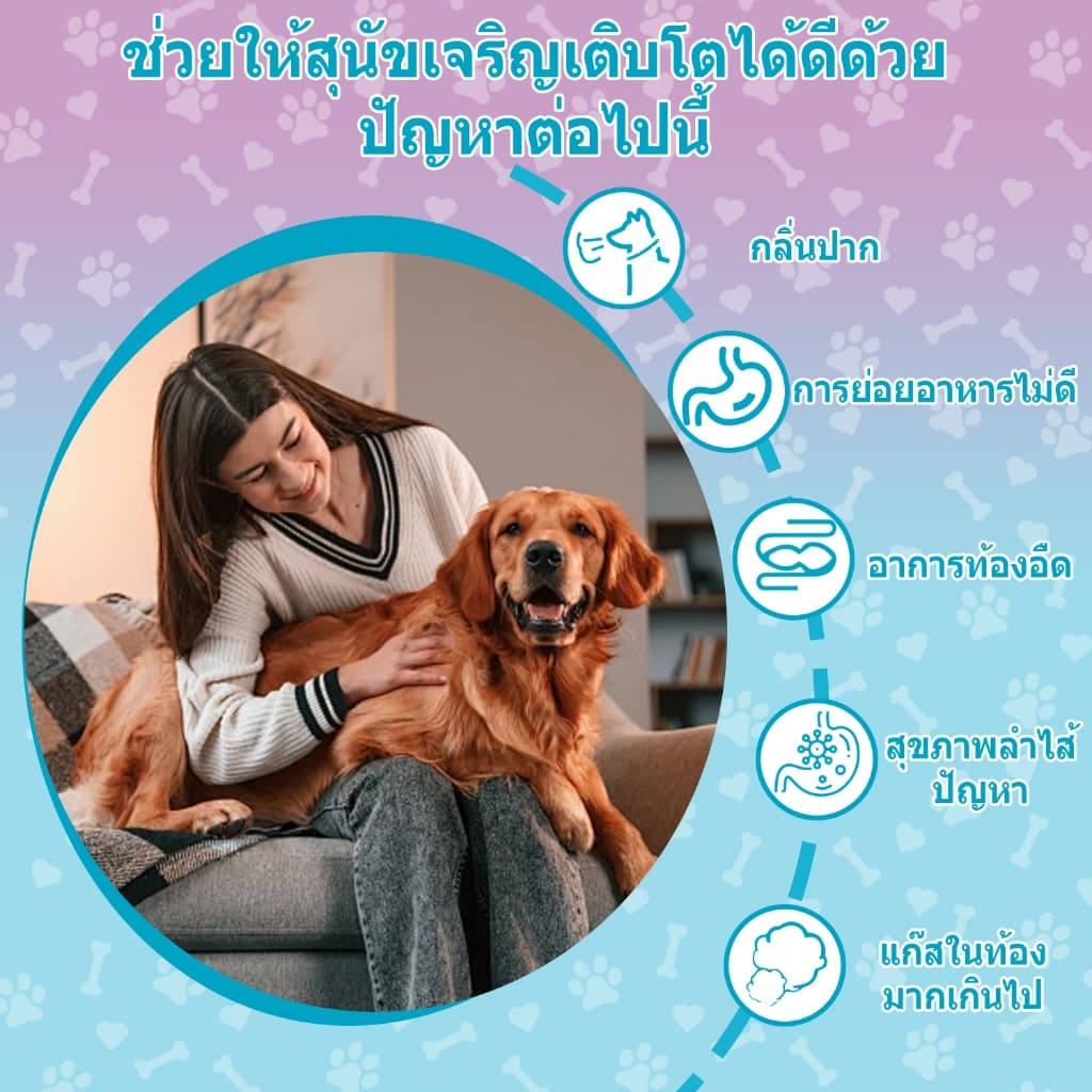 Popoo แพ็คสุดคุ้ม 2สูตร โปรไบโอติกสำหรับสุนัข และ Flea & Tick Prevention for Dogs วิตามินหมา ขนมสุนัข สำหรับสุนัขทุกวัย รูปที่ 3