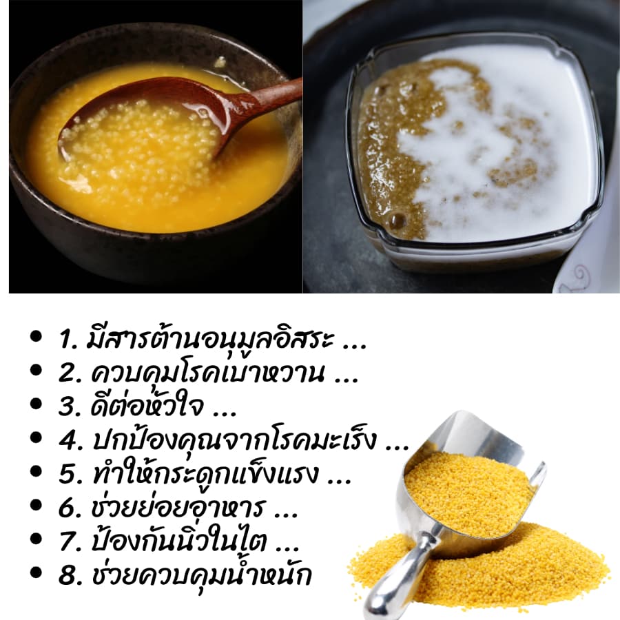 ข้าวฟ่าง ข้าวฟ่างแกะเปลือก ขนาด1kg นิยมนำไปต้มโจ๊กข้าวฟ่าง ขนม ข้าวฟ่างเปียก รูปที่ 4