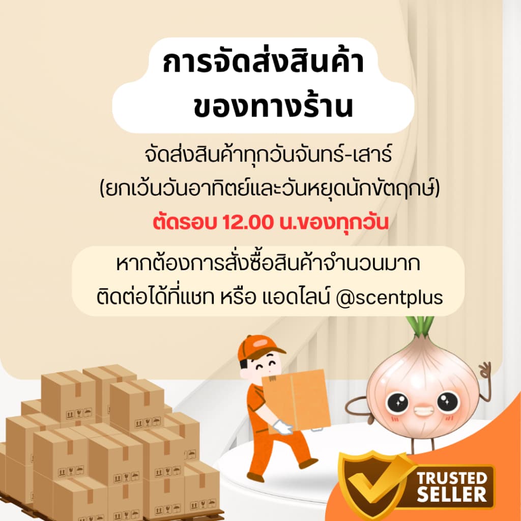 ก้านไม้หวาย ก้านไม้ไฟเบอร์ ใช้กระจายกลิ่นและปรับอากาศ รูปที่ 7