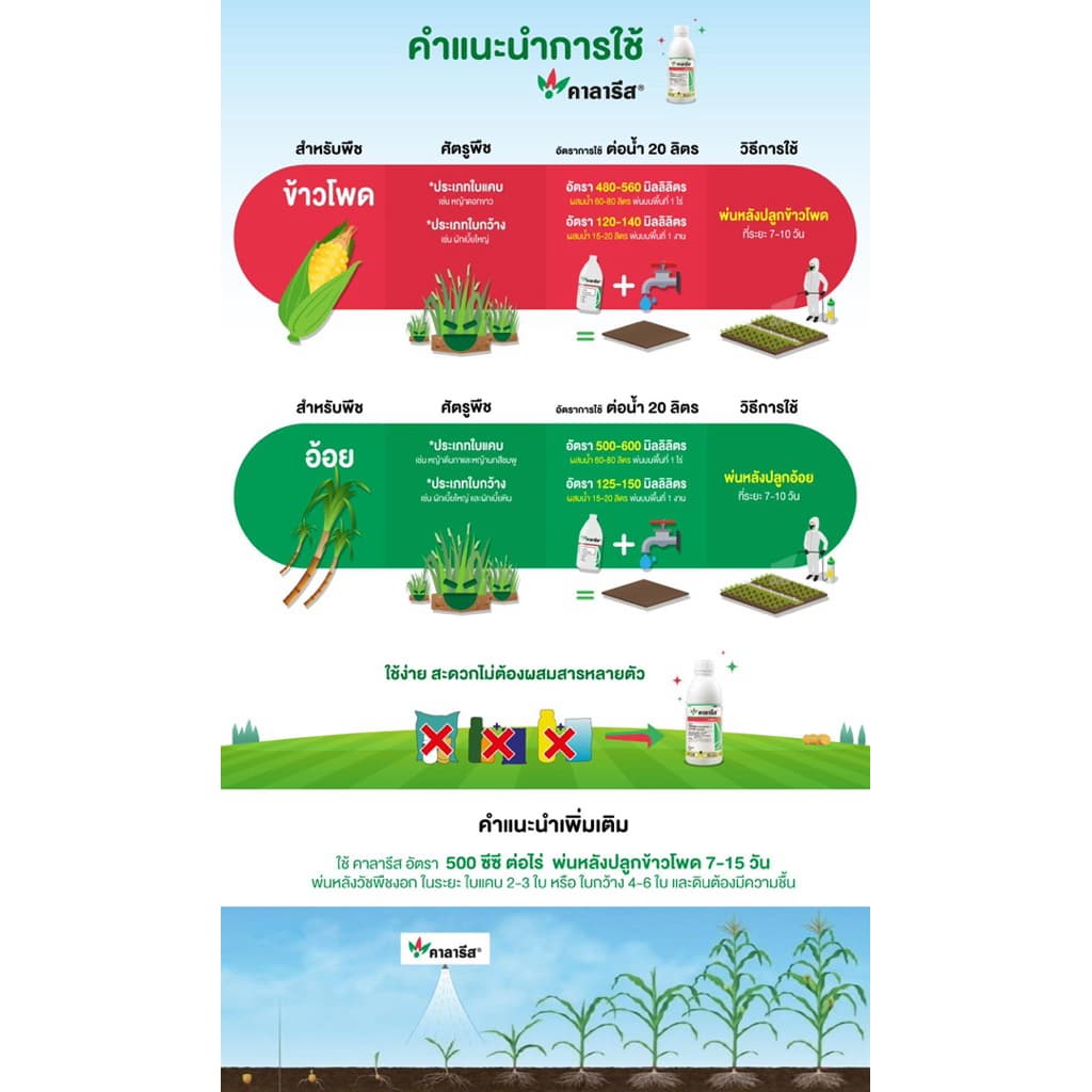 คาลารีส 1 ลิตร ยาฆ่าหญ้าในข้าวโพด พ่นทับได้ปลอดภัยต่อข้าวโพด รูปที่ 3