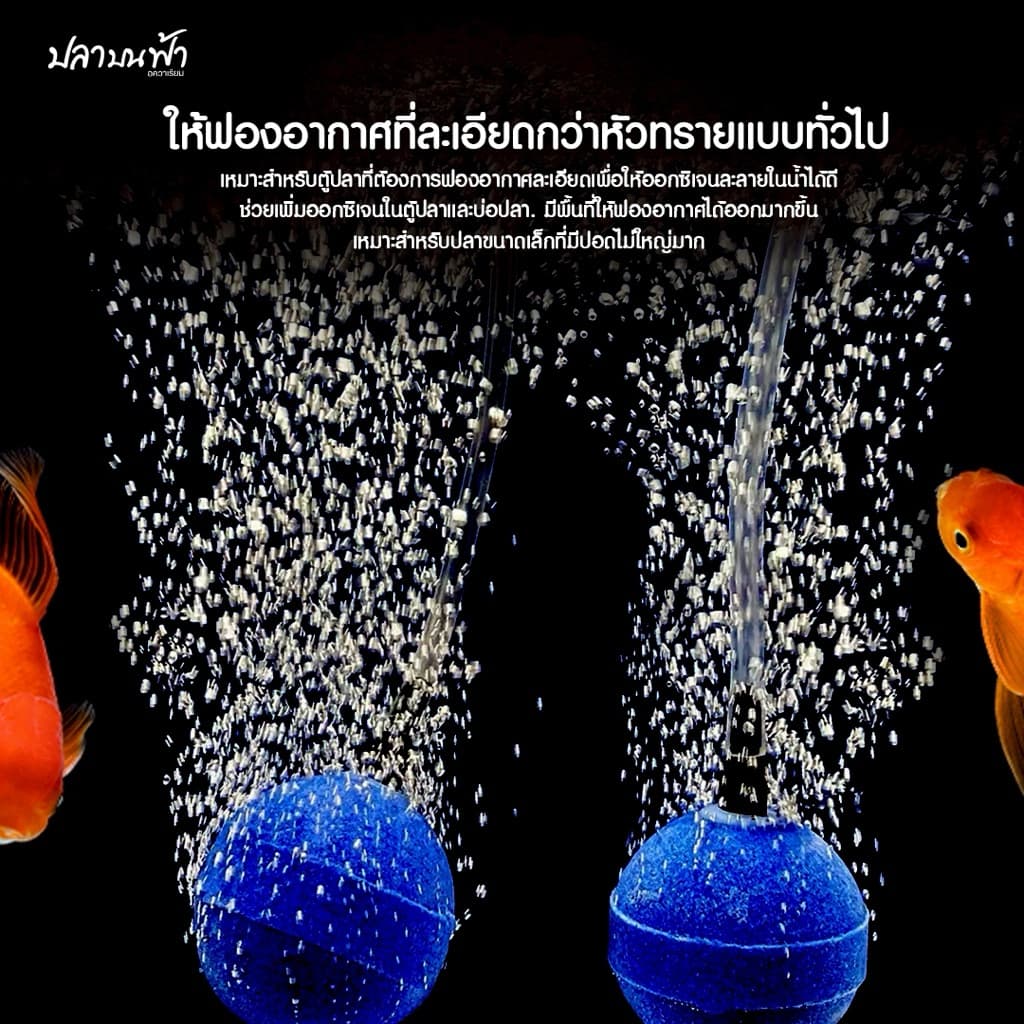 หัวทรายออกซิเจน ชนิดฟองละเอียด สำหรับตู้ปลา และบ่อปลา ช่วยกระจายออกซิเจนได้อย่างดี ใช้ได้กับปลาทุกชนิด รูปที่ 4