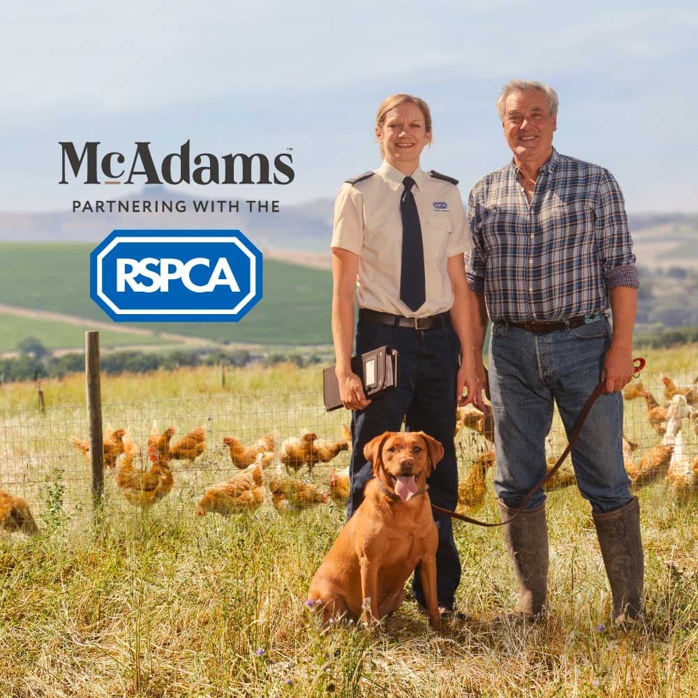 แพ้ง่าย ทานง่าย MCADAMS อาหารเม็ดสุนัข อบในอุณหภูมิต่ำ แมคอดัมส์ แพ้ง่าย ลูกสุนัข สุนัขโต 2KG 5KG รูปที่ 4