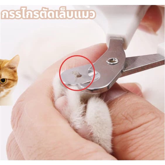 กรรไกรตัดเล็บสัตว์เลี้ยง มืออาชีพสุนัขแมวเล็บ ก ริปเปอร์ กับความปลอดภัยยามสแตนเลสสัตว์เลี้ยงกรงเล็บเล็บกรูมมิ่งกรรไกรอุป รูปที่ 2