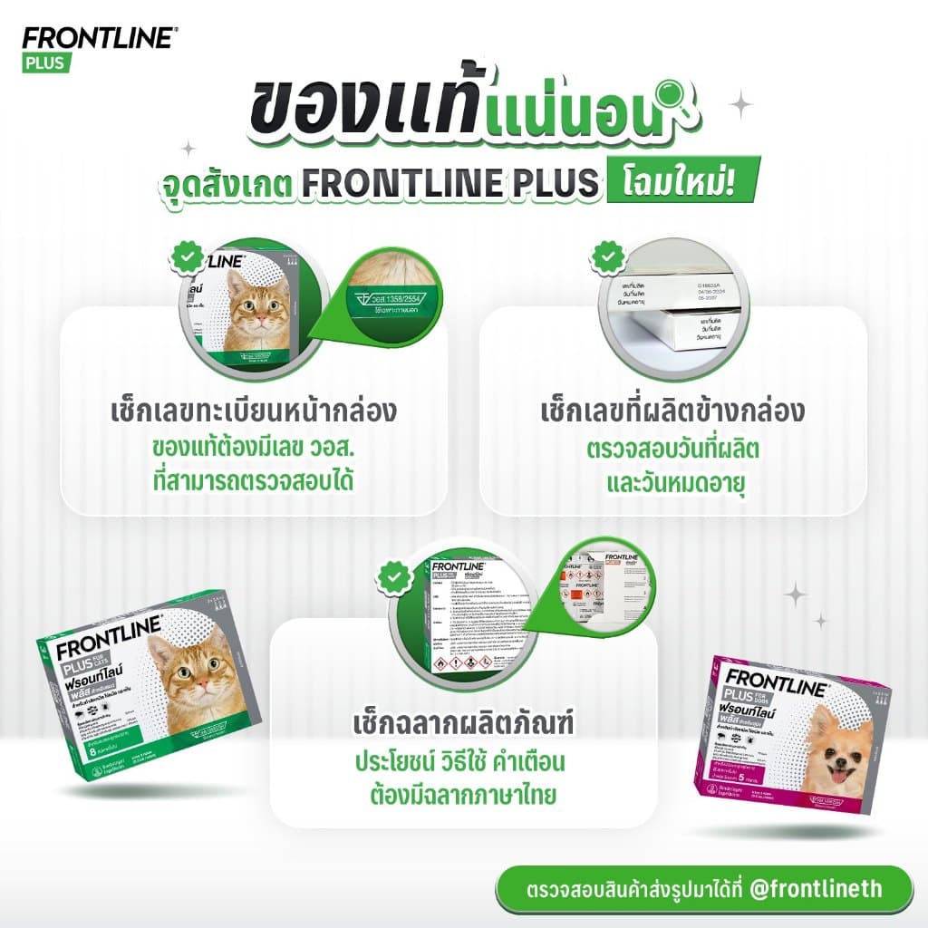 FRONTLINE PLUS CAT ฟรอนท์ไลน์ พลัส ยาหยดกำจัดเห็บหมัด สำหรับแมว รูปที่ 5