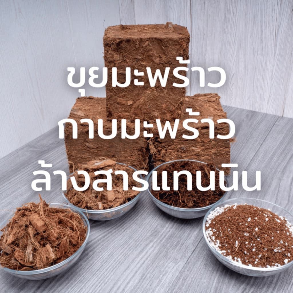 ขุยมะพร้าวล้างสารแทนนิน พร้อมใช้ บรรจุถุง ผ่านการล้าง ลดความเค็ม pH พรีเมี่ยม รูปที่ 6