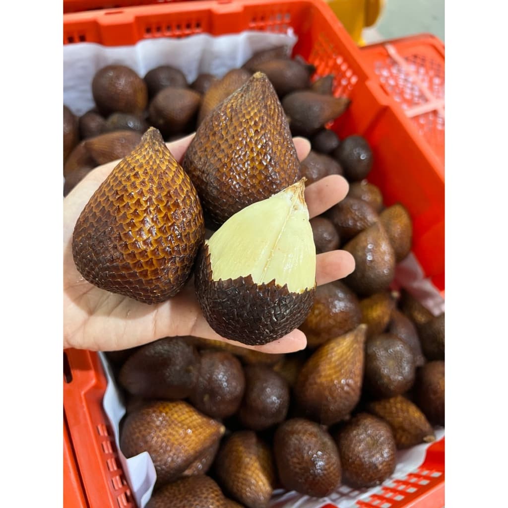 #สละอินโดนิเซีย นำเข้าแท้ 100% อร่อยเกินต้าน ราคาเบาๆ สั่งเลย‼ รูปที่ 2