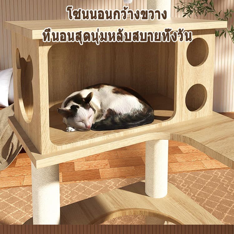 คอนโดแมว ใหญ่ ขนาดใหญ่ ที่ลับเล็บแมว คอนโดแมวไม้ เสาลับเล็บแมวได้ ไม่สั่นไหว สูง140CM สำหรับ4-6ตัว ไม้ บ้านแมว ฝนเล็บแมว รูปที่ 9