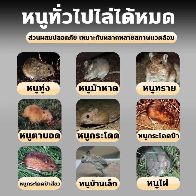 10ปีไม่มีหนู ไล่หนู กําจัดหนู ยาไล่หนู ยากําจัดหนู 1กล่อง150กรัม แค่เพียงวาง ก็ไล่และกำจัดหนูได้ทันที รูปที่ 9