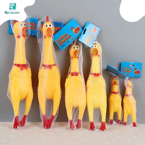 Pet Record ไก่โอ๊กร้องดัง ตุ๊กตาไก่ ของเล่นมีเสียง ของเล่นยางกัด รูปที่ 8