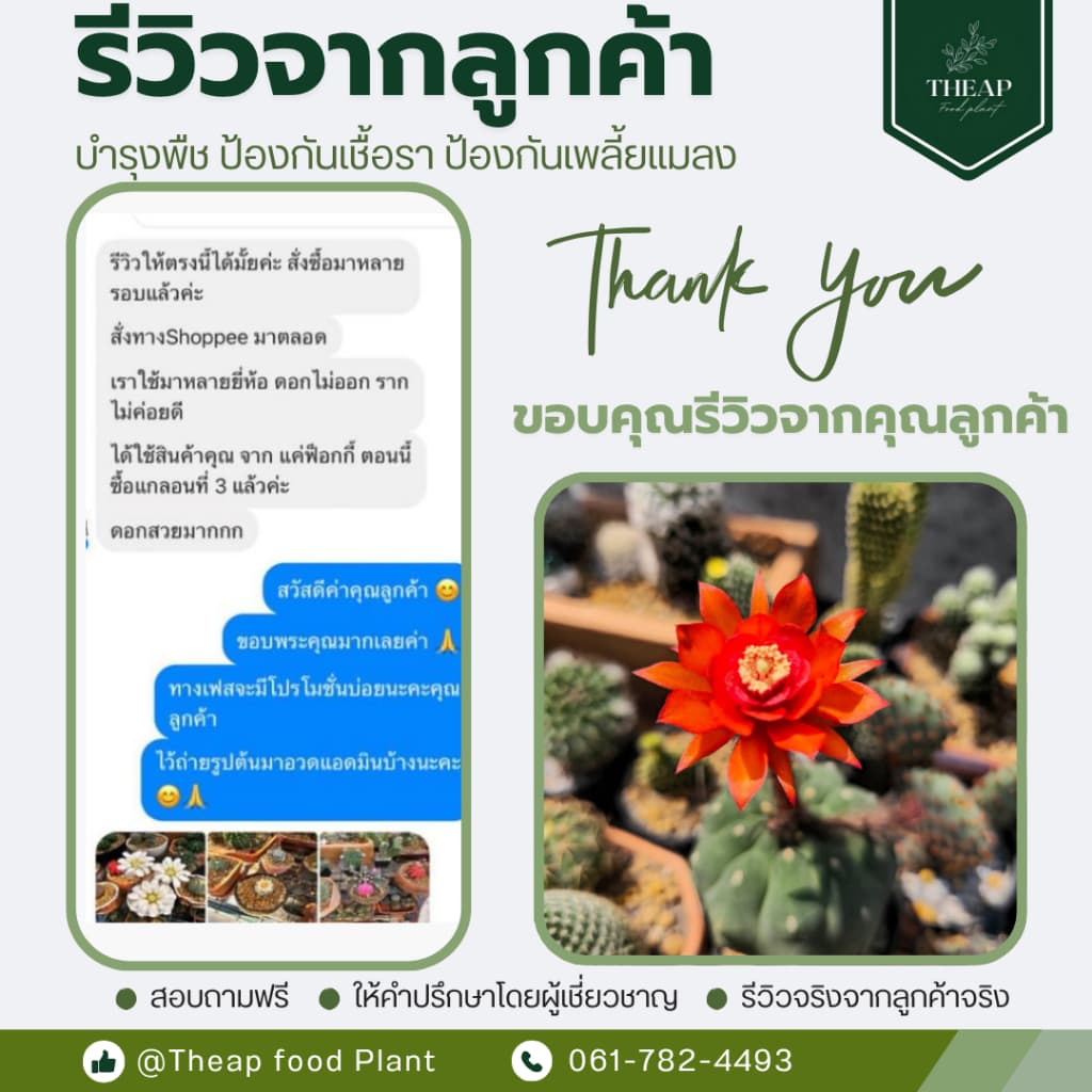 สเปรย์ป้องกันและกำจัดเชื้อราTHEAP รูปที่ 9