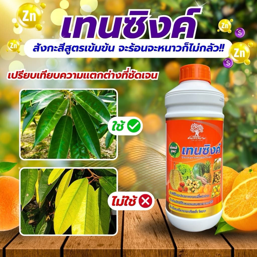 เทนซิงค์ สังกะสีสูตรเข้มข้น 10%+กำมะถัน 5% ขนาด 1ลิตร ทนต่อทุกสภาพอากาศ เร่งการเเตกยอด เเตกใบ แก้อาการใบเหลือง รูปที่ 2