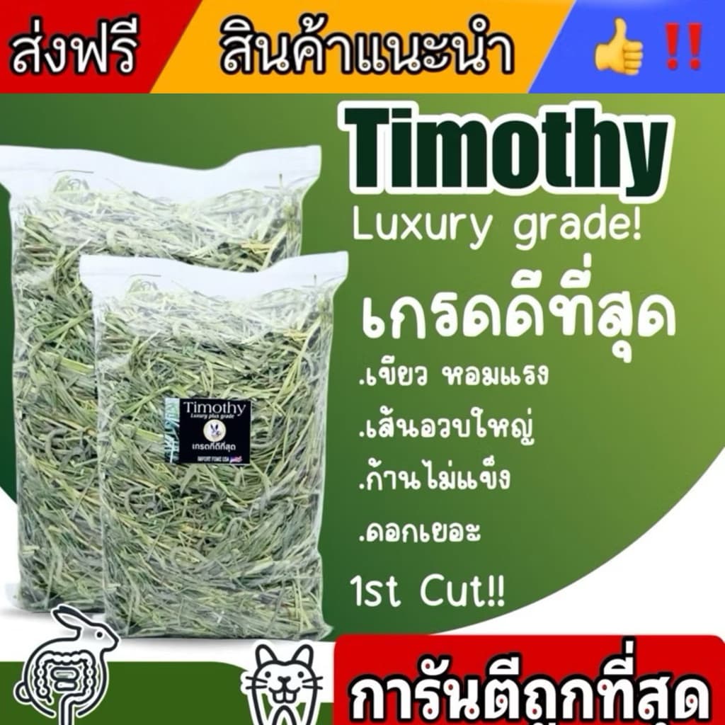 best 1st มี7เกรดมีทุกแบบในไทย หญ้ากระต่ายทิมโมธี รูปที่ 1
