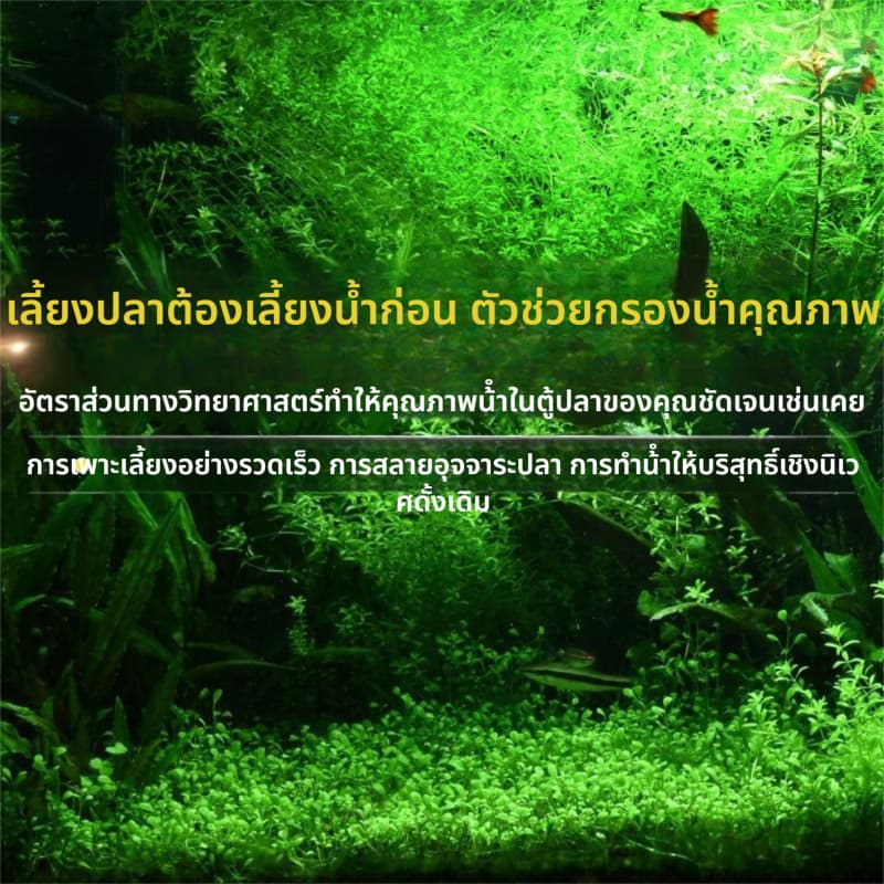 ชุดวัสดุกรองเทพ 10 in 1 ปรับน้ำใสใน 3 วัน | แถมฟรีสูงสุด 60 กรัม รูปที่ 2