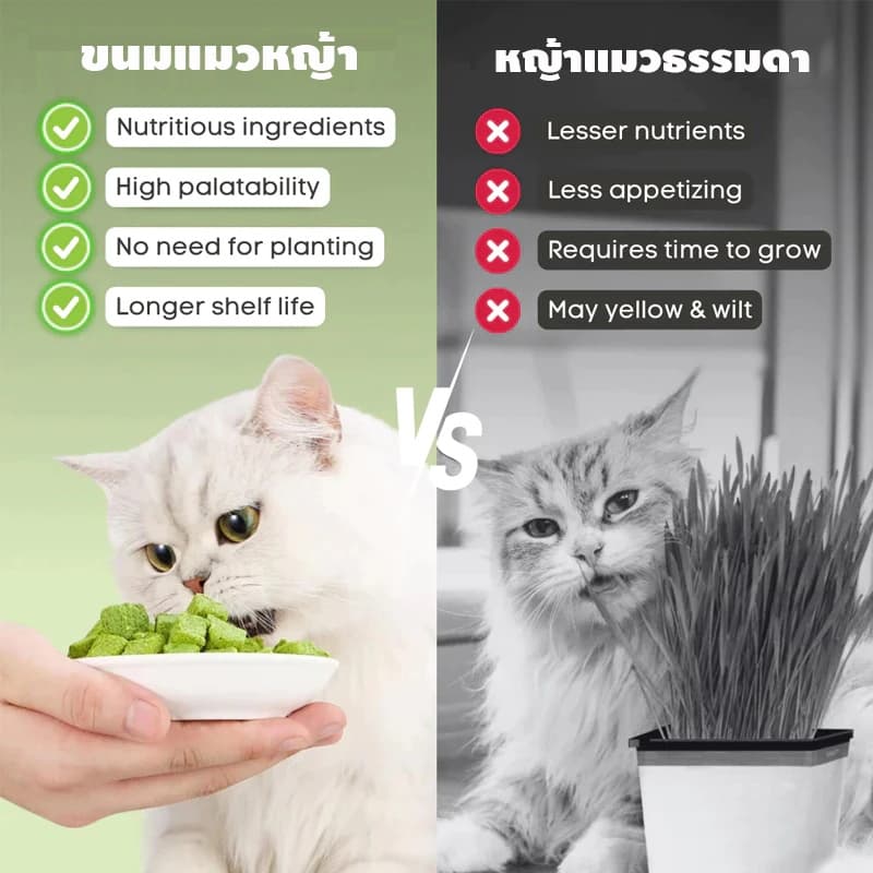 ขนมแมว อกไก่ผสมต้นอ่อนข้าวสาลีฟรีซดราย 100% ช่วยขับขนในลำคอ ลำไส้ ผสมอกไก่แท้ ขนมแมวฟรีซดราย รูปที่ 7