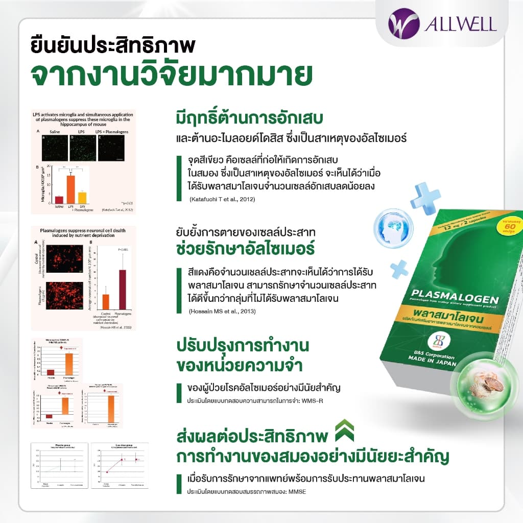 ALLWELL Plasmalogen บำรุงสมอง เพิ่มความจำ ลดความเสี่่ยงอัลไซเมอร์ จากประเทศญี่ปุ่น รูปที่ 7